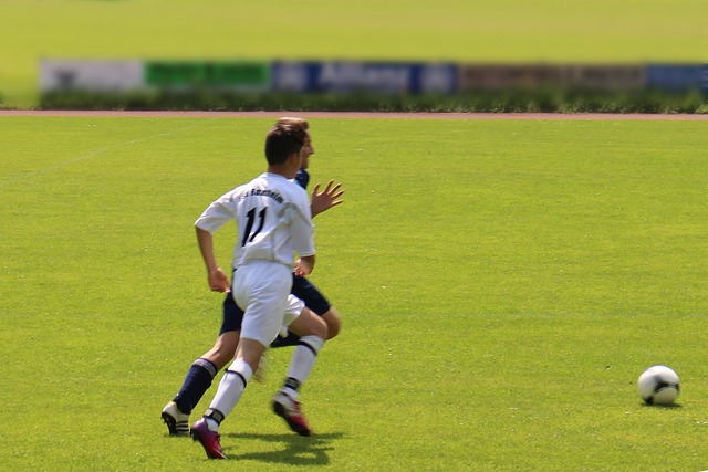 发展可追溯 发展可追溯