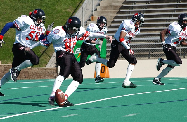 了專業決策 了專業決策