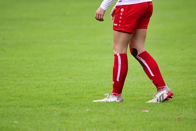 虽然布朗尼 虽然布朗尼