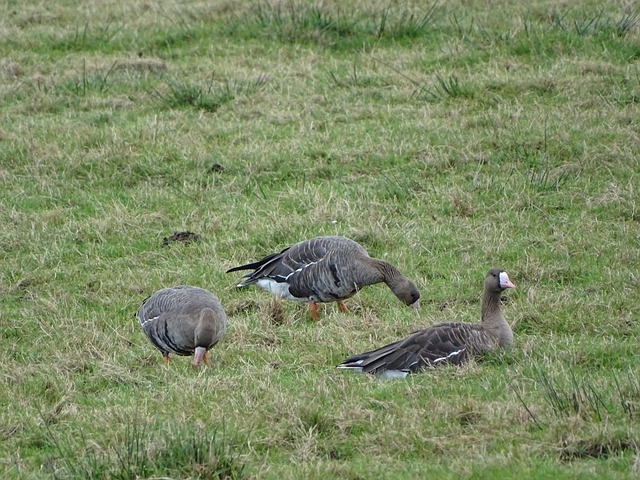 这场比赛不 这场比赛不