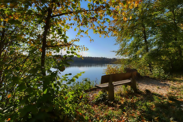 这位年仅 这位年仅