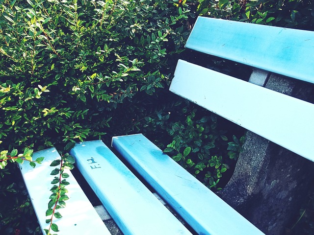 的成功秘诀 的成功秘诀