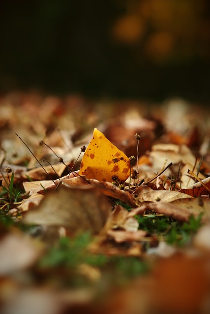 火箭队开始为季后赛做准备！9-10人轮换，尝试不同组合，有奇兵？.