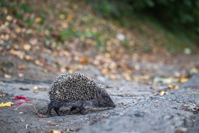 這樣的故事 這樣的故事