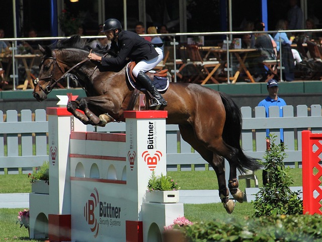 他们接连遭 他们接连遭