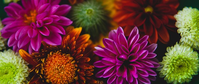 国乒来说 国乒来说