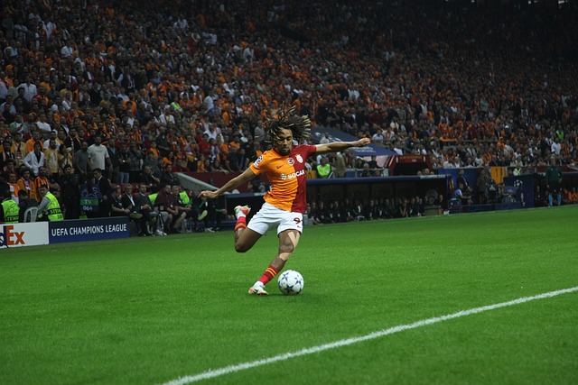 怀特自摆乌 怀特自摆乌