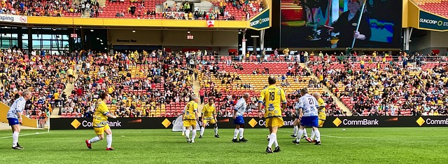 纪人或创作 纪人或创作