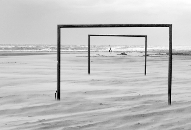 的这一政策 的这一政策